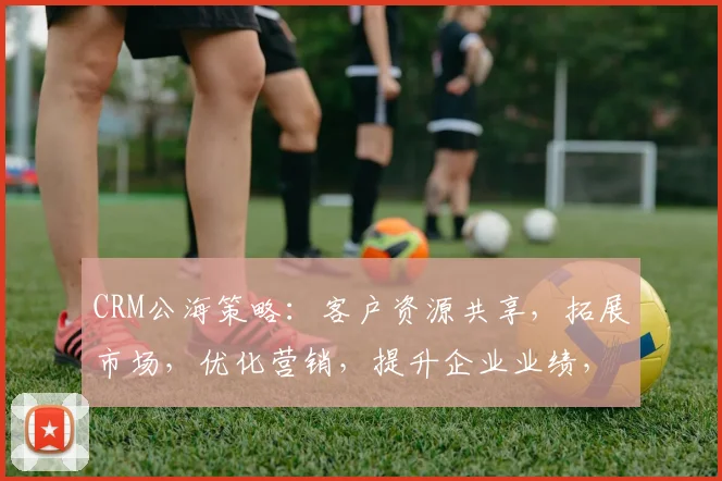 CRM公海策略：客户资源共享，拓展市场，优化营销，提升企业业绩，三管齐下。