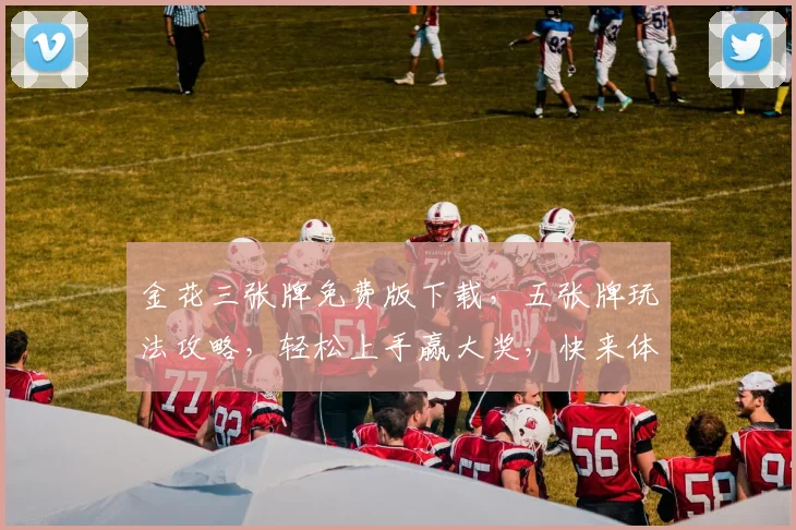 金花三张牌免费版下载，五张牌玩法攻略，轻松上手赢大奖，快来体验逗趣游戏