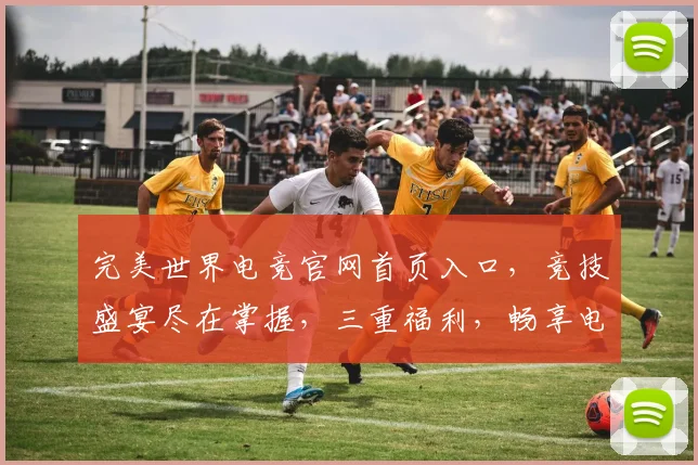 完美世界电竞官网首页入口，竞技盛宴尽在掌握，三重福利，畅享电竞激情，快登陆体验